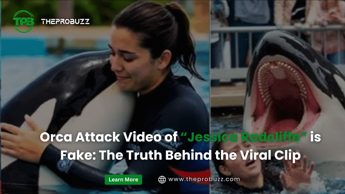 Illustration exposing the viral orca attack hoax involving the fictitious Jessica Radcliffe